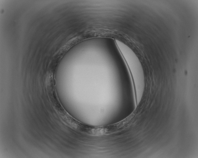 X0000087700225200705040859