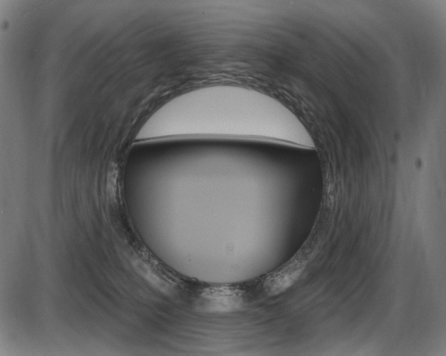 X0000087700231200705040859