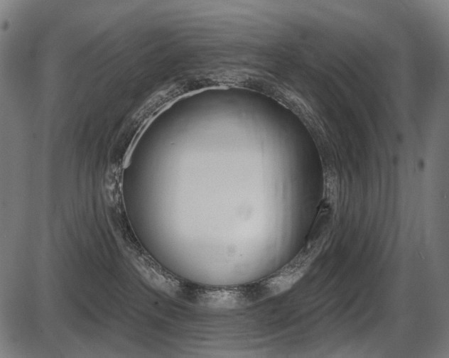 X0000087700237200705040859