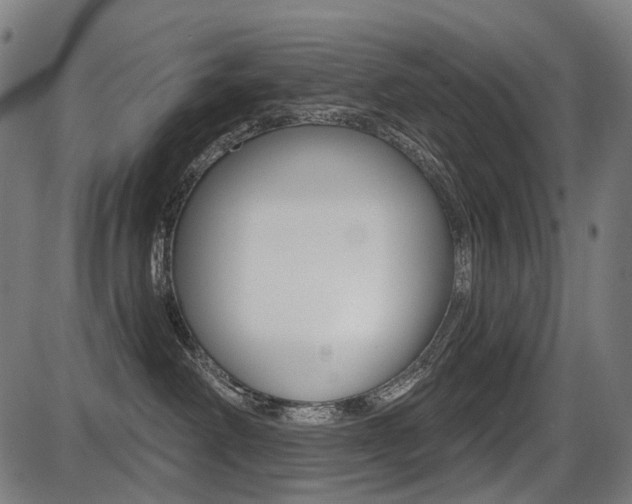 X0000087700238200705040859
