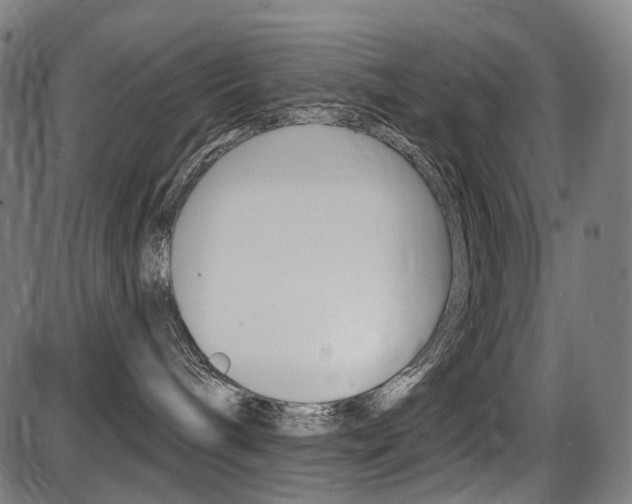 X0000087700240200705040859