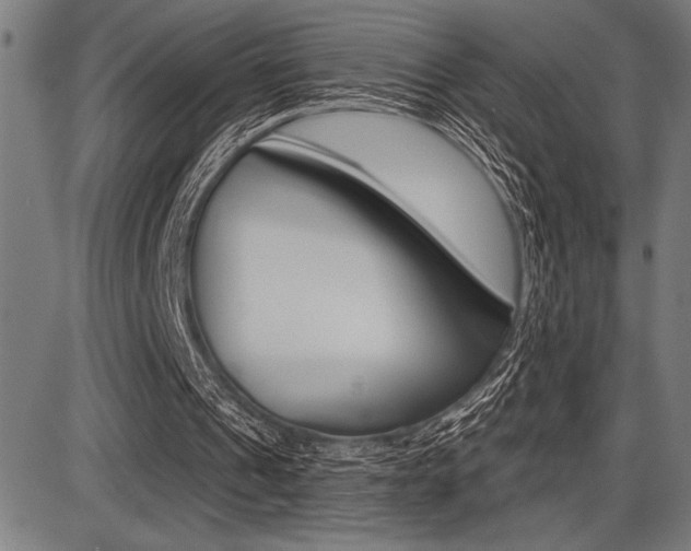 X0000087700241200705040858