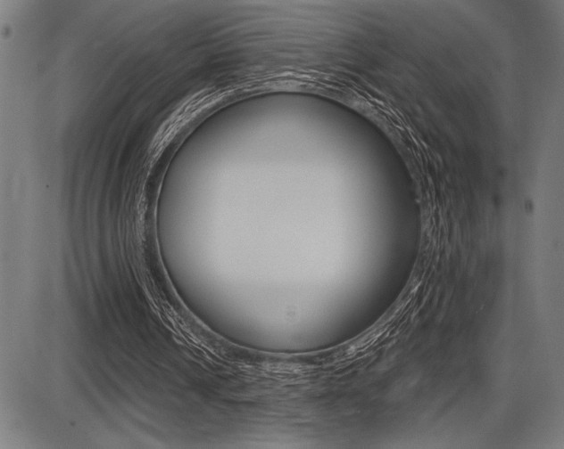 X0000087700242200705040858