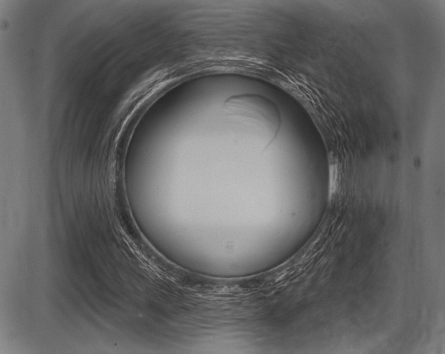 X0000087700243200705040858