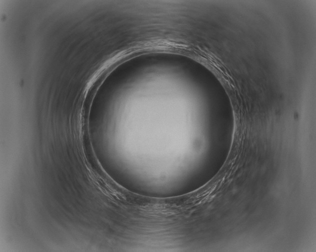 X0000087700244200705040858