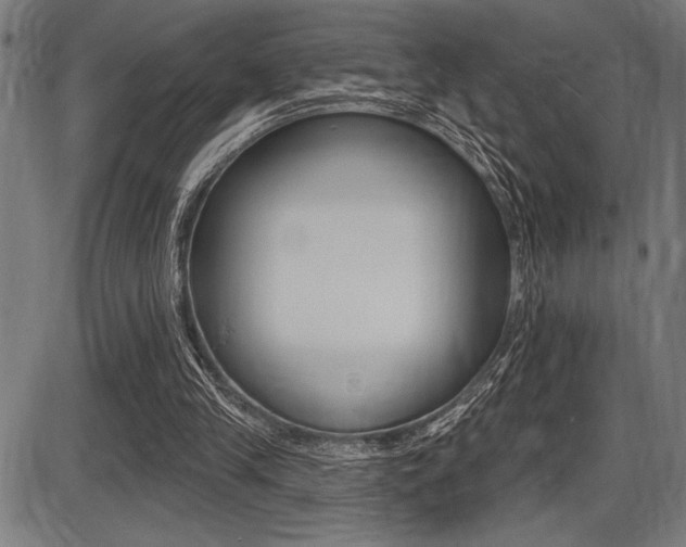 X0000087700245200705040858