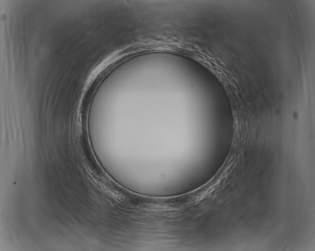X0000087700246200705040858