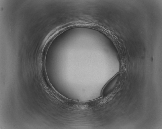 X0000087700247200705040858