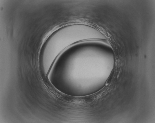 X0000087700248200705040858