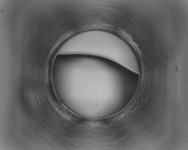 X0000087700250200705040858