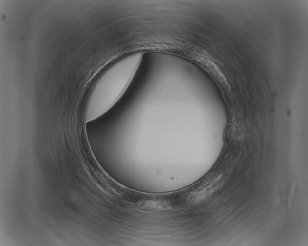 X0000087700251200705040858