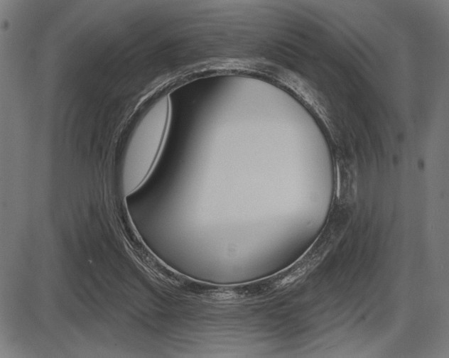 X0000087700253200705040858