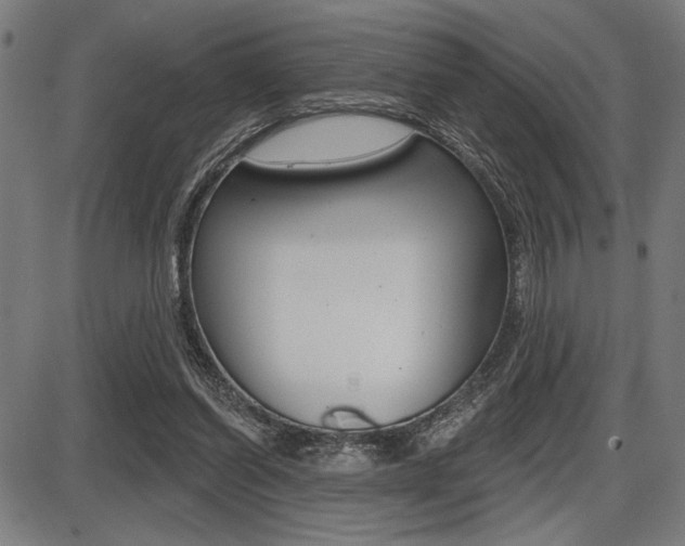 X0000087700254200705040858