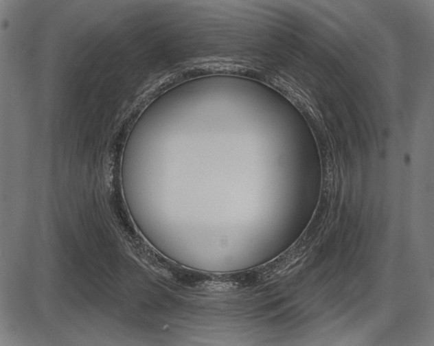 X0000087700255200705040858