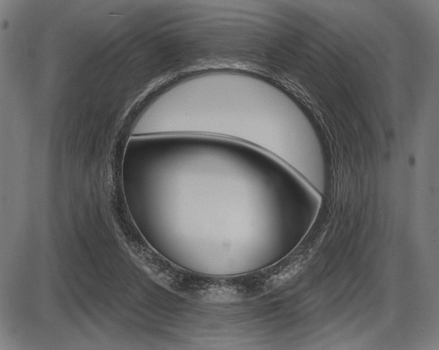 X0000087700256200705040858