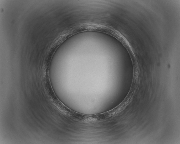 X0000087700257200705040858