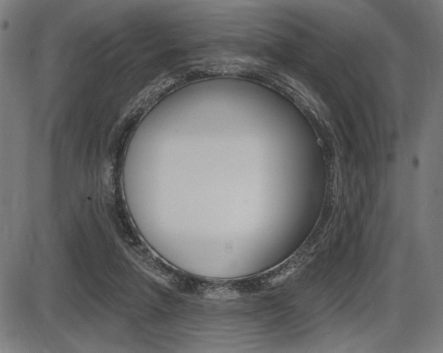 X0000087700258200705040858