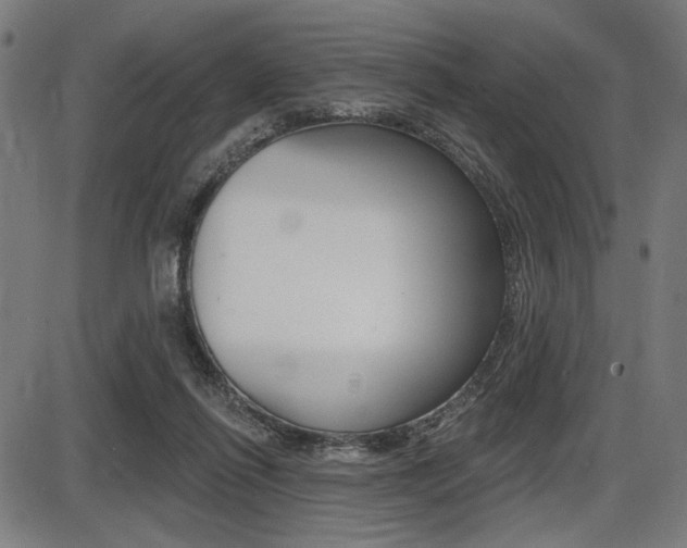 X0000087700262200705040858