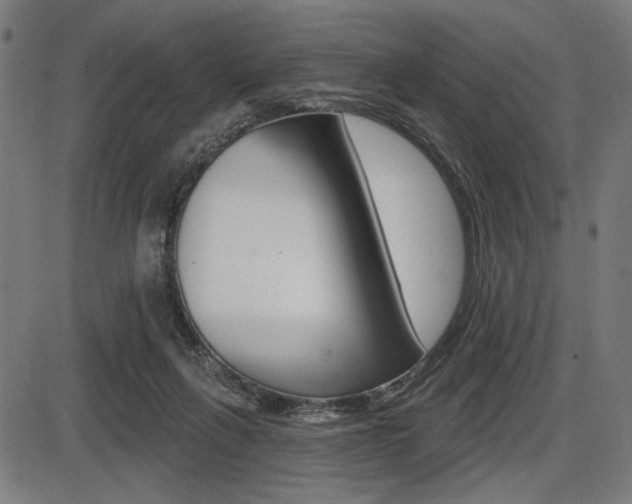 X0000087700263200705040858