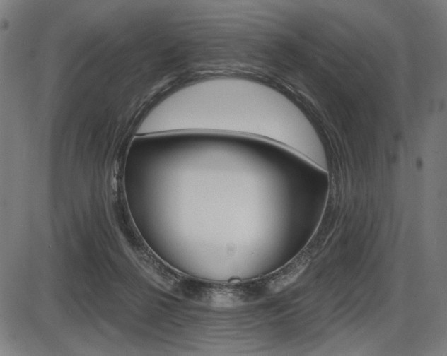 X0000087700264200705040858