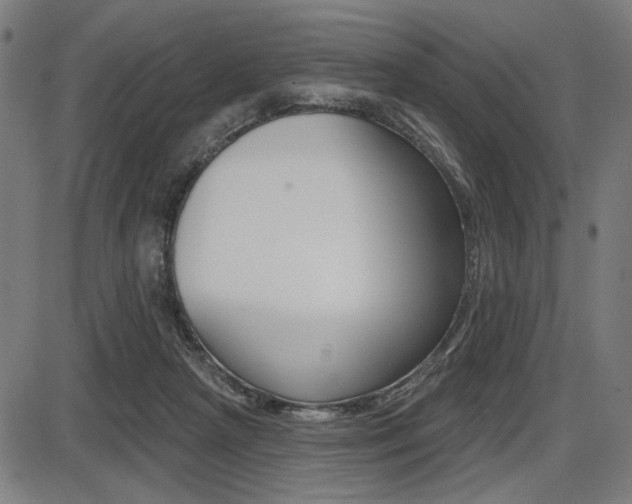 X0000087700265200705040858