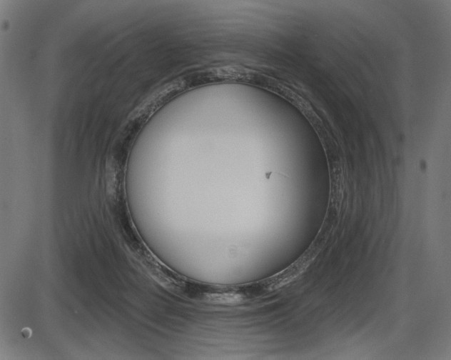 X0000087700266200705040858