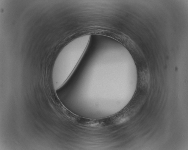 X0000087700267200705040858