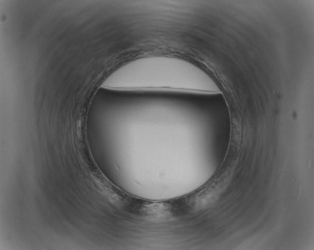 X0000087700269200705040858