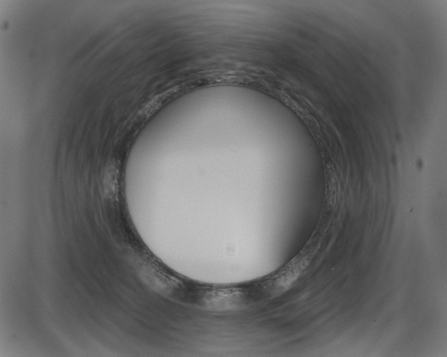 X0000087700274200705040859