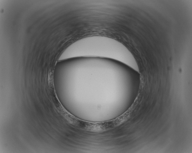 X0000087700276200705040859