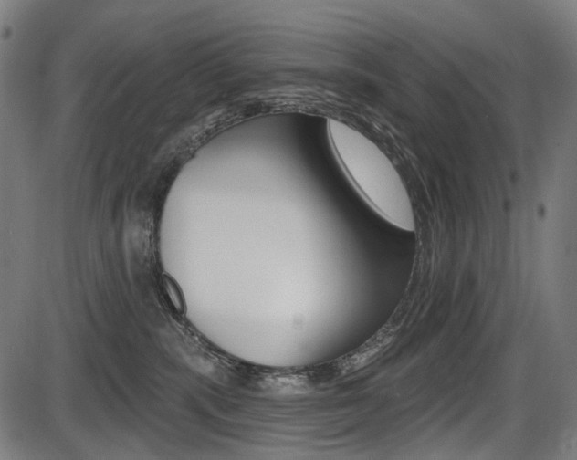 X0000087700283200705040859