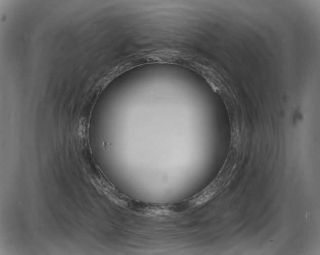 X0000087700284200705040859