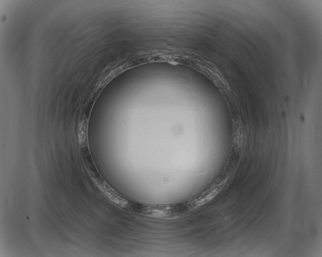 X0000087700285200705040859