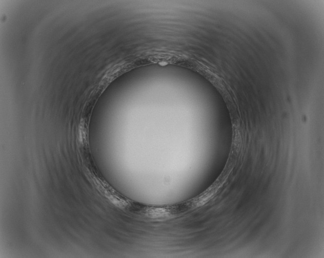 X0000087700287200705040859