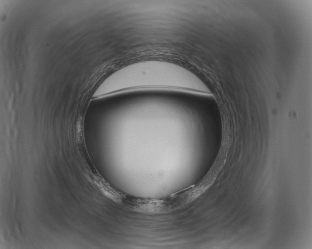 X0000087700288200705040859