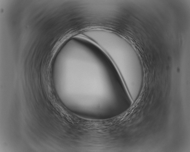 X0000087700289200705040858