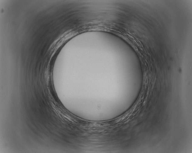 X0000087700290200705040858