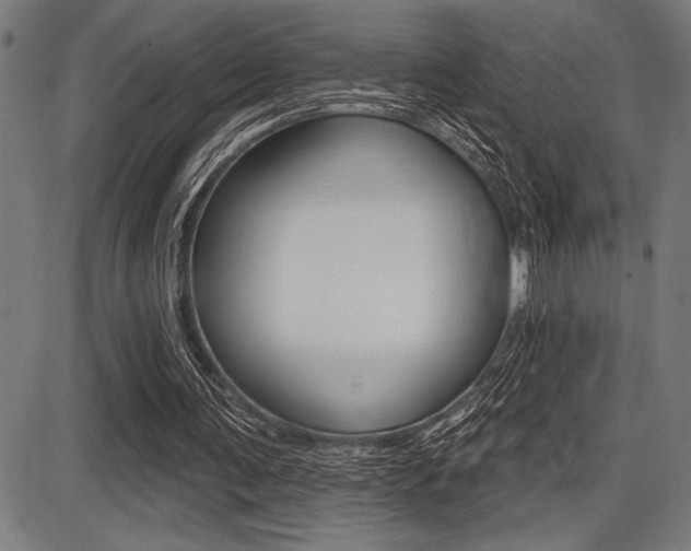 X0000087700291200705040858