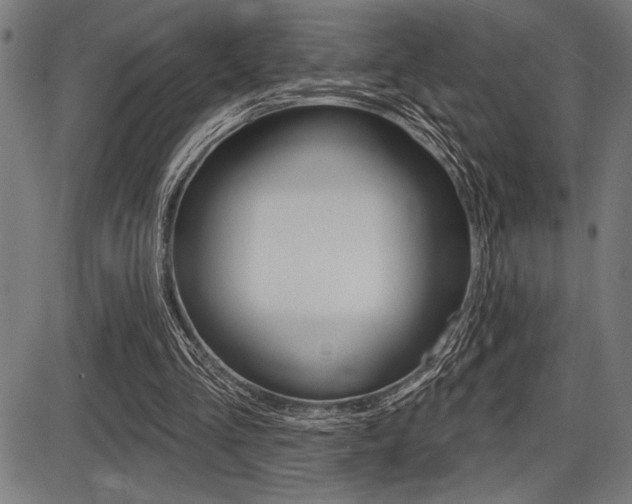 X0000087700293200705040858