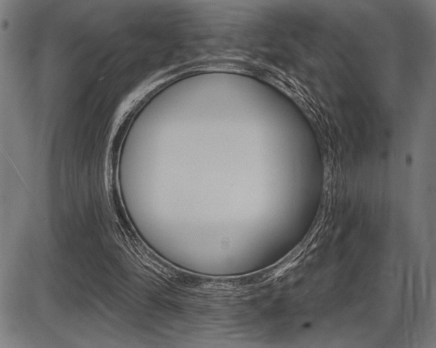 X0000087700294200705040858