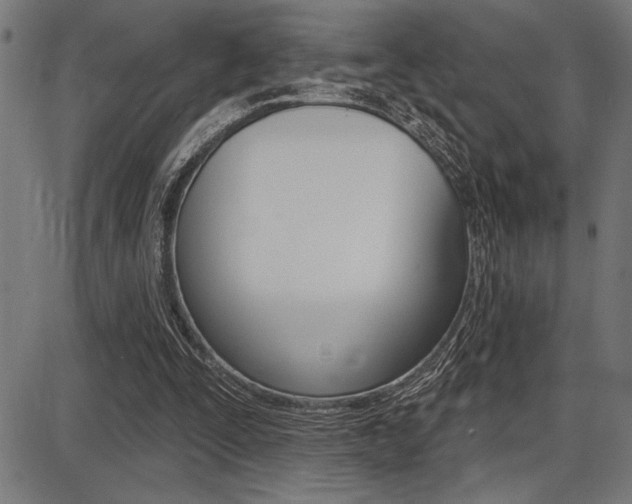 X0000087700295200705040858
