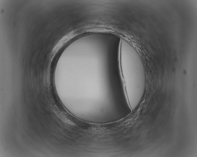 X0000087700296200705040858