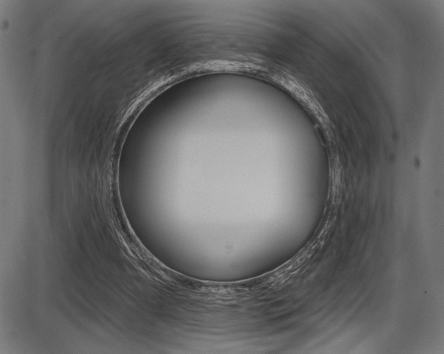 X0000087700297200705040858