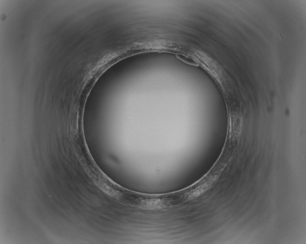 X0000087700301200705040858