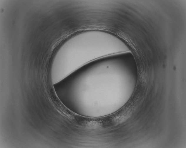 X0000087700303200705040858