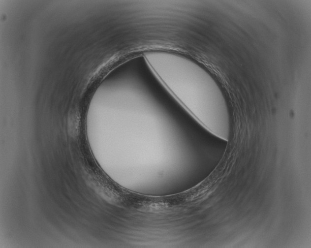 X0000087700304200705040858