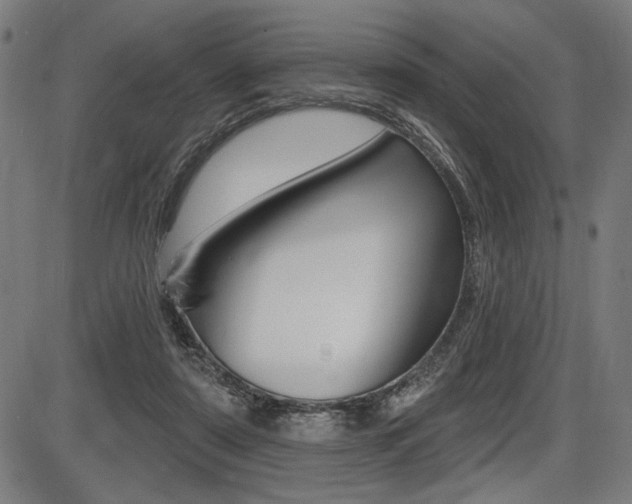 X0000087700307200705040858