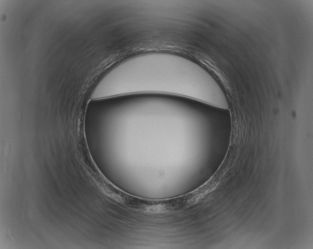 X0000087700309200705040858