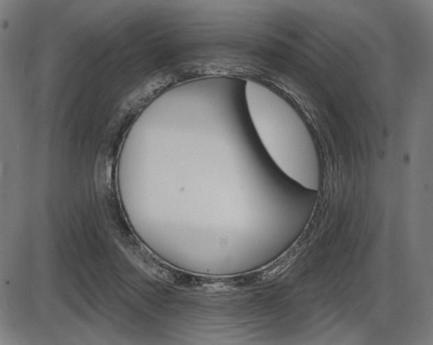 X0000087700310200705040858