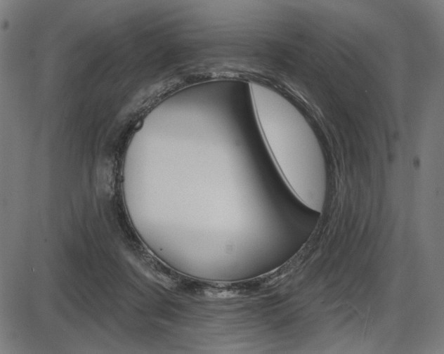 X0000087700311200705040858